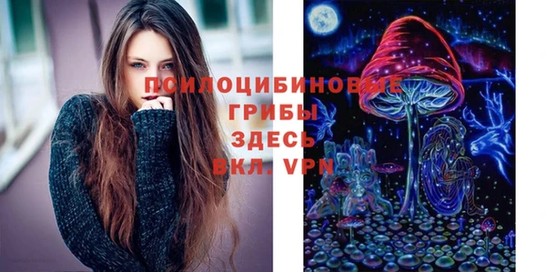 бутират Алексин