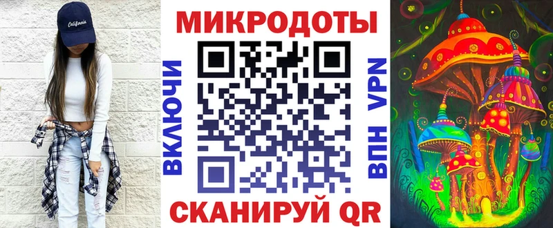 Псилоцибиновые грибы Psilocybe Берёзовский